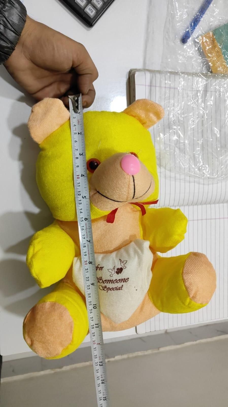 Love Quote Soft Teddy Bear with Heart – Valentine’s Gift for Girls & Kids