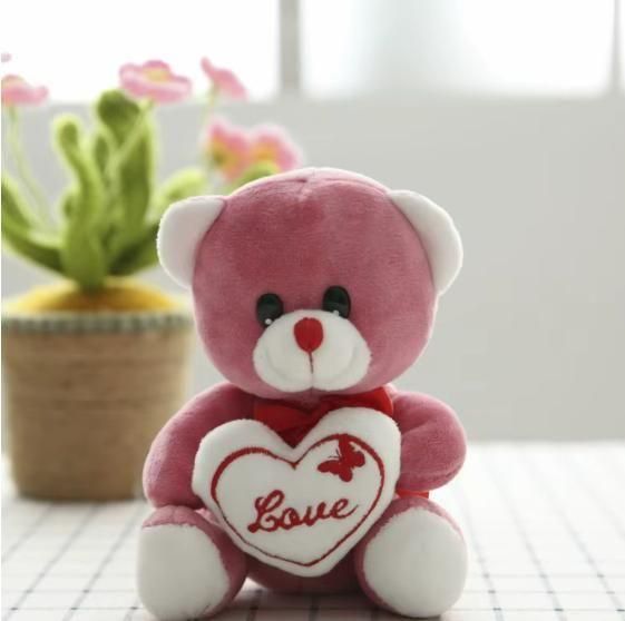 Love Quote Soft Teddy Bear with Heart – Valentine’s Gift for Girls & Kids